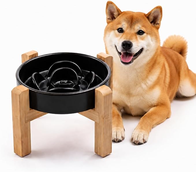 Ceramic Slow Feeder/Dog Bowl for Small Medium Dogs,Elevated/Raised Slow Feeding Dog Food Water Dish Heavy Weighted,Puzzle Eating Bow (Black, 8.26in) by Unknown