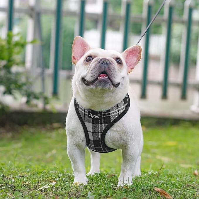 PUPTECK Small Dog Harness and Leash Set No Pull for XS XXS Sized Dogs Puppy | Escape Proof No Choke Pet Cat Adjustable Soft Padded Walking Vest - Image 6