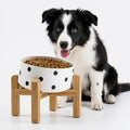 Petygooing Elevated/Raised 15°Slanted Ceramic Dog Bowl for Small and Medium Breeds, Tilted Anti Slip Pet Feeding Bowl,Food Water Dish with Stand for Cats and Dogs (28 OZ/3.6 Cups) Black Dot by PetygooingforYOURLOVEDPET