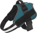 Dog Harness, No-Pull Reflective Dog Vest, Breathable Adjustable Pet Harness with Handle for Outdoor Walking - No More Pulling, Tugging or Choking (Turquoise, S) by Bolux
