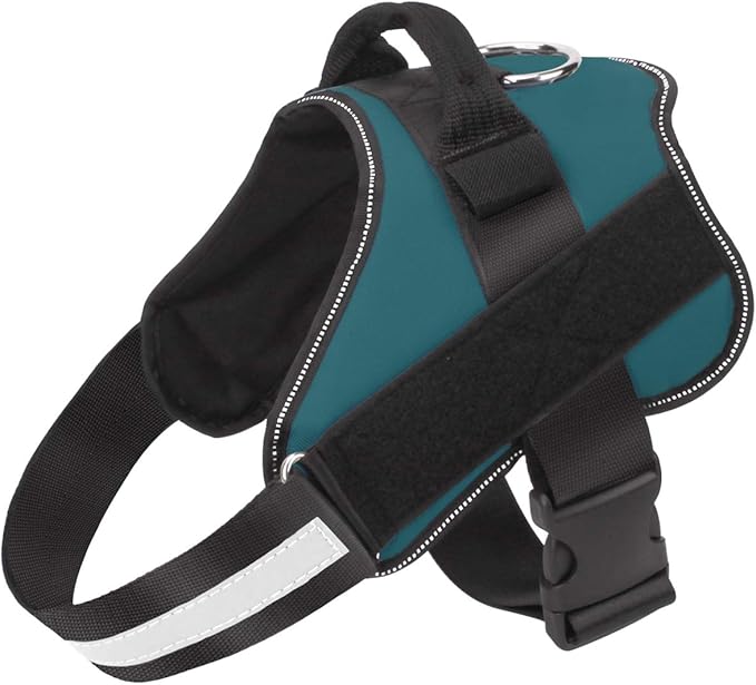 Dog Harness, No-Pull Reflective Dog Vest, Breathable Adjustable Pet Harness with Handle for Outdoor Walking - No More Pulling, Tugging or Choking (Turquoise, XS) by Bolux