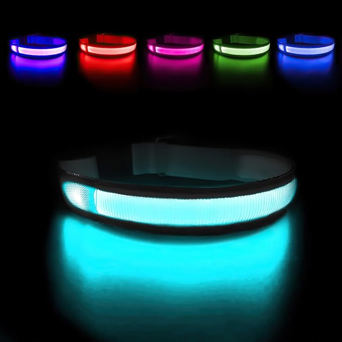 MASBRILL Light Up Dog Collars - LED Dog Collar Rechargeable Lighted Dog Collars Resistant-Water Night Walking Glow in the Dark Collars by MASBRILL