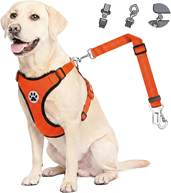 Lukovee Dog Car Harness Seat Belt, Harness & Seatbelt with 2 in 1 Buckle | Adjustable Soft Breathable Mesh Harness, Reflective Elastic Reflective Tether, for Small Medium Large Dogs Pets (Orange, L) by Lukovee