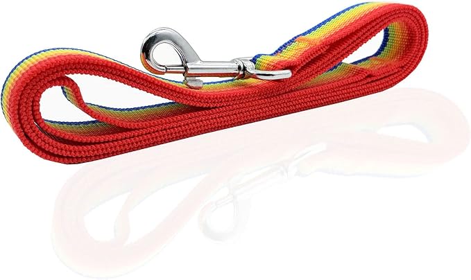 Nylon Dog Leash 4 Ft 5 Feet 6 Foot Long, Walking Training Dog Leashes for Medium Large Dogs, 1 Inch Wide (1" X 4 ft, Rainbow) - Image 3
