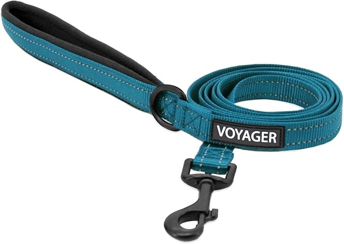Best Pet Supplies Voyager Nylon Dog Leash - Turquoise, Medium | 5ft in Length, 3/4" in Width, Reflective, Soft Neoprene Handle, Heavy Duty Metal Clips for Running, Walking & Training by BestPetSuppliesLLC