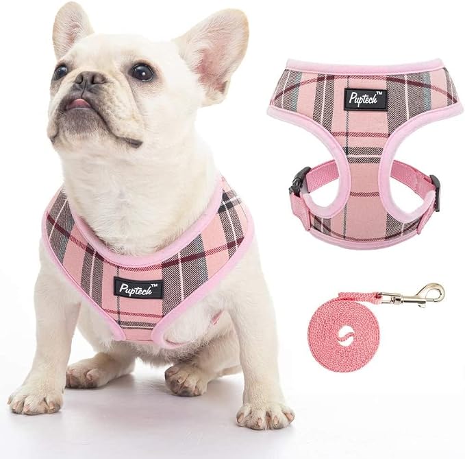 PUPTECK Small Dog Harness and Leash Set No Pull for XS XXS Sized Dogs Puppy | Escape Proof No Choke Pet Cat Adjustable Soft Padded Walking Vest by PUPTECK