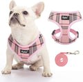 PUPTECK Small Dog Harness and Leash Set No Pull for XS XXS Sized Dogs Puppy | Escape Proof No Choke Pet Cat Adjustable Soft Padded Walking Vest by PUPTECK