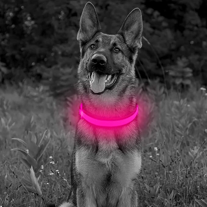 BSEEN Light Up Dog Collars - Reflective LED Dog Collar, Adjustable Puppy Collar, Rechargeable Dog Camping Gear Dog Collar Light for Small Medium Large Dogs (Large, Pink) - Image 6
