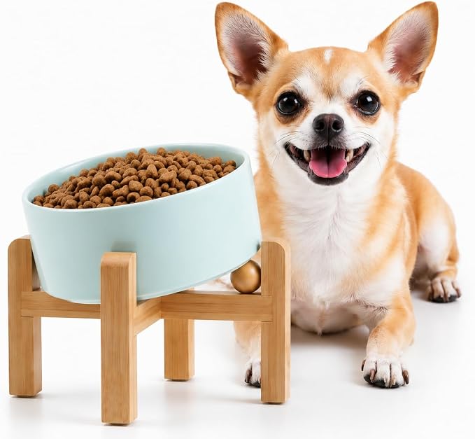 Petygooing Raised/Elevated 15°Slanted Ceramic Dog Bowl for Small Breeds,Tilted Anti Slip Pet Bowl,Food Water Dish with Stand for Cats and Small Dogs Puppy 13.5 OZ (5.1In / 1.7 Cups) Blue Sky by PetygooingforYOURLOVEDPET