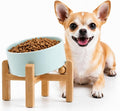Petygooing Raised/Elevated 15°Slanted Ceramic Dog Bowl for Small Breeds,Tilted Anti Slip Pet Bowl,Food Water Dish with Stand for Cats and Small Dogs Puppy 13.5 OZ (5.1In / 1.7 Cups) Blue Sky by PetygooingforYOURLOVEDPET