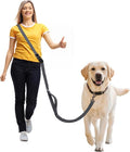 Hands Free Dog Leash,Galaxy Reflective,Crossbody Dog Leash,Black | Galaxy Reflective • Emergency Control Handle • Heavy-Duty Hardware • Multi-Way Wear by JCHOUSEPetSupplies