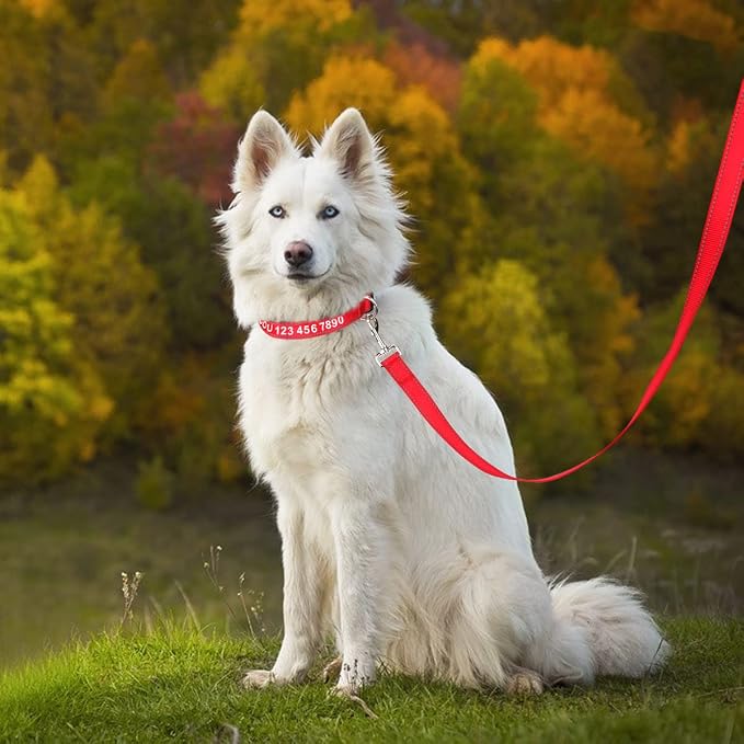 Taglory Reflective Dog Leash for Medium Large Dogs, 1in x 6ft, Red | Ideal for Night Walking, Strong for Sudden Pulls, Lightweight & Gentle on the Neck, Soft Padded Handle - Image 9