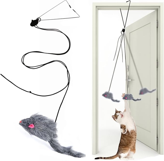 Kalimdor Interactive Cat Feather Toys,Retractable Teaser Toy ，Hanging Interactive Toys for Indoor Cats Kitten Play Chase Exercise, Kitten Mental Exercise Toys (1 Pack) by Kalimdor