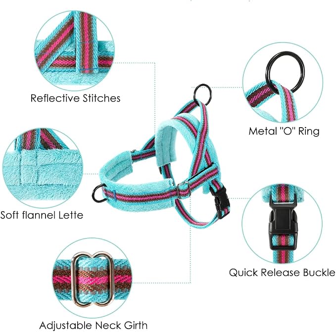 Lukovee Small Dog Harness and Leash Set, No Pull Soft Padded Vest | Both Neck & Chest Adjustable, Reflective, Puppy Harness with 4ft Lightweight Anti-Twist Dog Leash for Small Dogs (01-LBL, XS) - Image 2