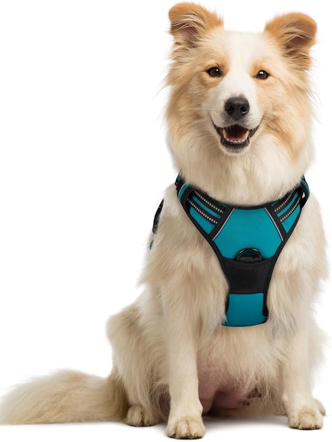 rabbitgoo Dog Harness, No Pull Medium Sized with 2 Leash Clips, Pet Vest | No Choke with Handle, Adjustable Soft Padded, Reflective, Easy Control for Walking, Teal, Medium by rabbitgoo