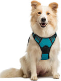 rabbitgoo Dog Harness, No Pull Medium Sized with 2 Leash Clips, Pet Vest | No Choke with Handle, Adjustable Soft Padded, Reflective, Easy Control for Walking, Teal, Medium by rabbitgoo