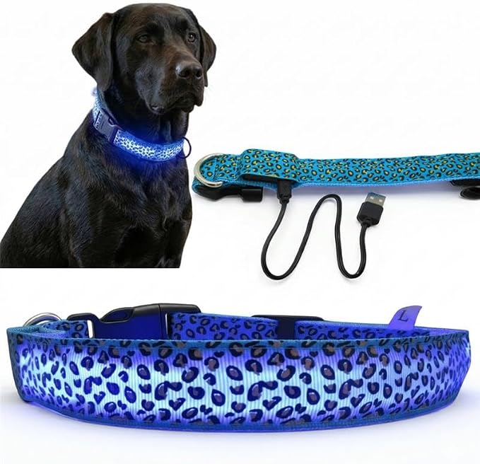 Leopard Dog Collar - Glow in the Dark USB Collar with Rechargeable Battery + Waterproof Design - Light Up Dog Collar - Blue (Medium Size) by Unknown