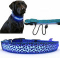 Leopard Dog Collar - Glow in the Dark USB Collar with Rechargeable Battery + Waterproof Design - Light Up Dog Collar - Blue (Medium Size) by Unknown