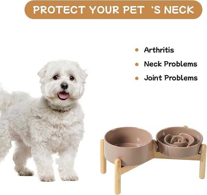 Havniva Elevated Slow Feeder Dog Bowls, Ceramic Dog Bowl Slow Feeder Set | 0.9 Cups Raised Slow Feeder Dog Bowl for Small Breed, 6.1” Dog Water Bowl with Wooden Stand, Puzzle Dog Food Bowl, Non-slip - Image 7