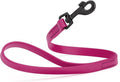 Dogline Biothane Waterproof Dog Leash Strong Coated Nylon Webbing with Black Hardware Odor-Proof Easy to Clean High Performance for Small or Large Dogs Made in USA 2 ft Lead, Magenta Pink by Dogline