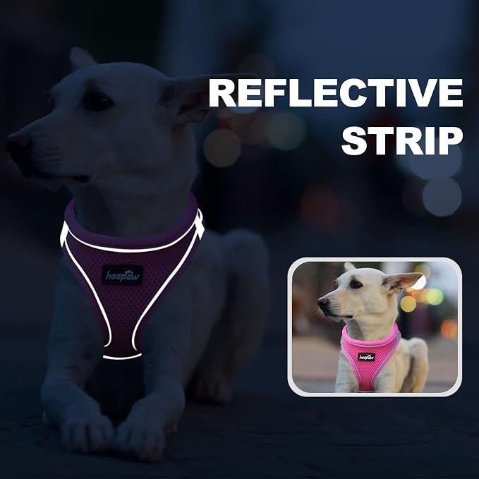haapaw Dog Harness with Leash Set, No Pull Adjustable Reflective Step-in Puppy Harness with Thickened Padded Vest for Extra-Small/Small Medium Dogs - Image 5