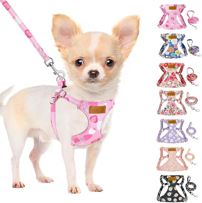 SlowTon No Pull Dog Harness with Leash for Small Medium Dogs, Strawberry XXS by SlowTon