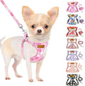 SlowTon No Pull Dog Harness with Leash for Small Medium Dogs, Strawberry S | Floral Pattern, Step-in, Lightweight, Easy Put On and Off, No Choke, Soft Cotton and Suede for Daily Walking by SlowTon