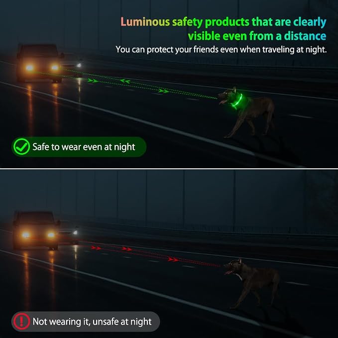 Illumifun Light Up Dog Collar - USB Rechargeable LED Dog Collar Glow in the Dark - High Visibility Glow Collar for Night Walking (Small, Fluorescent Green) - Image 6