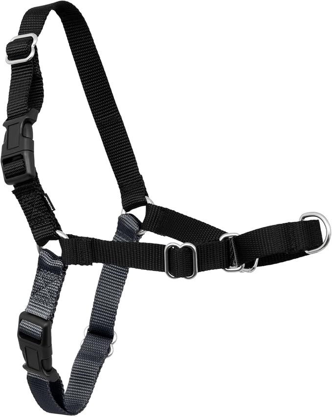 PetSafe Easy Walk Harness, No Pull Dog Harness, Charcoal Gray, Large | Patented Martingale Loop Gives Gradual Shoulder Pressure to Stop Pulling, Front-Chest Leash Clip Prevents Gagging by PetSafe