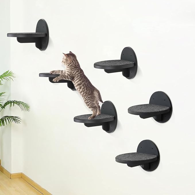 Cat Wall Shelves Furniture Set of 6, Wooden Cat Steps for with Scratching Pad, Sturdy Floating Climber Ladder Stairs, Cats Climbing Wall Systems for Cats Sleep Climb Play - Image 3