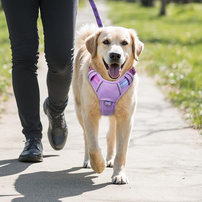 BARKBAY No Pull Dog Harness Large Reflective Dog Harness with Front Clip and Easy Control Handle for Walking Training Running with ID tag Pocket(Lavender Sky,XL) - Image 9