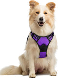 rabbitgoo Dog Harness, No Pull Medium Sized with 2 Leash Clips, Pet Vest | No Choke with Handle, Adjustable Soft Padded, Reflective, Easy Control for Walking, Purple, Medium by rabbitgoo