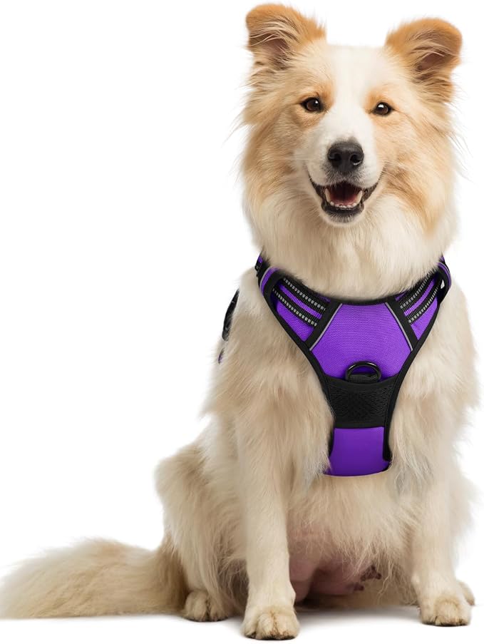 rabbitgoo Dog Harness, No Pull Medium Sized with 2 Leash Clips, Pet Vest | No Choke with Handle, Adjustable Soft Padded, Reflective, Easy Control for Walking, Purple, Medium by rabbitgoo