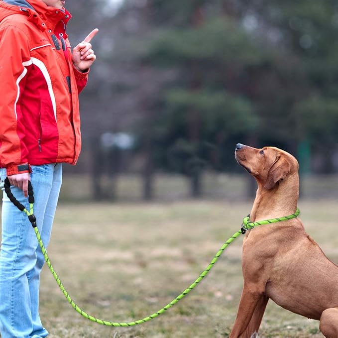 TagME Slip Lead for Dogs, No Pull Training Leash, Padded Handle (Green) | Braided Climbing Rope, Reflective Stitching, 6 Ft, Fits Small to Large Dogs Up to 250 lbs, Cushioned Grip, No Leash Burn - Image 6