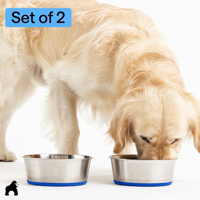 GORILLA GRIP Dog Bowls, Food Grade Stainless Steel, Set of 2, 4 Cup, Blue | 304 Stainless Steel Pet Feeding Bowls Hold 32 fl oz Each, Dishwasher Safe, Rust Resistant, BPA Free Rubber Base - Image 8