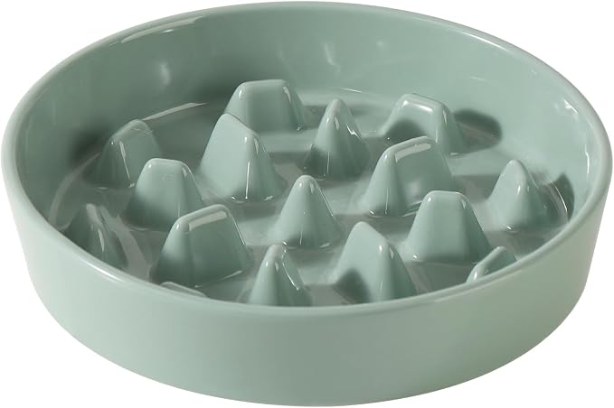 Havniva Dog Bowls Slow Feeder, Ceramic Slow Feeder Dog Bowls for Fast Eater | 3.2 Cups Dog Food Bowl Puzzle Feeder, Slow Feeding Bowls for Large Dogs, Non-Slip Base, Anti-Choking by Havniva