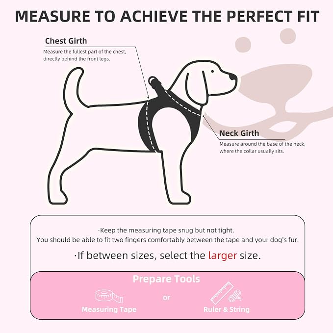 PUPTECK Dog Harness, Collar and Leash Set No Pull for Small Medium Sized | Plaid Puppy Step-in Escape Proof Reflective No Choke Pet Cat Adjustable Walking Vest - Image 2