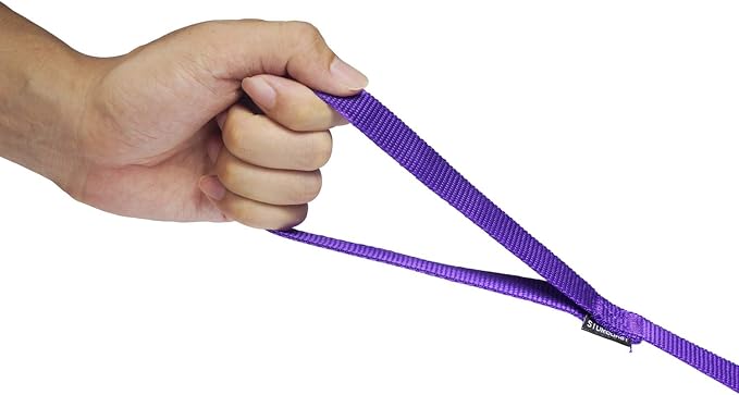 Strong Durable Nylon 10ft Long Dog Training Leash, Traction Rope, 1 Inch Wide, for Small and Medium Dog (Purple, 10 Feet) - Image 3