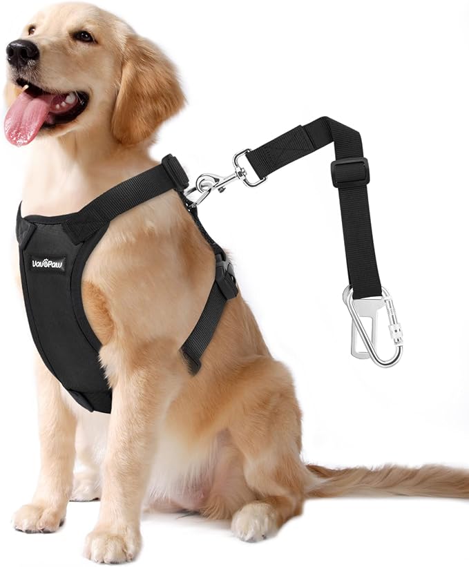 VavoPaw Dog Seat Belt Vest Harness for Car, 2 in 1 Seatbelt Buckle | Soft Breathable Mesh, Adjustable Buckle, Nylon, Heavy Duty Pet Safety Seat Belts for Small Medium Large Pets, Black, XXL by VavoPaw