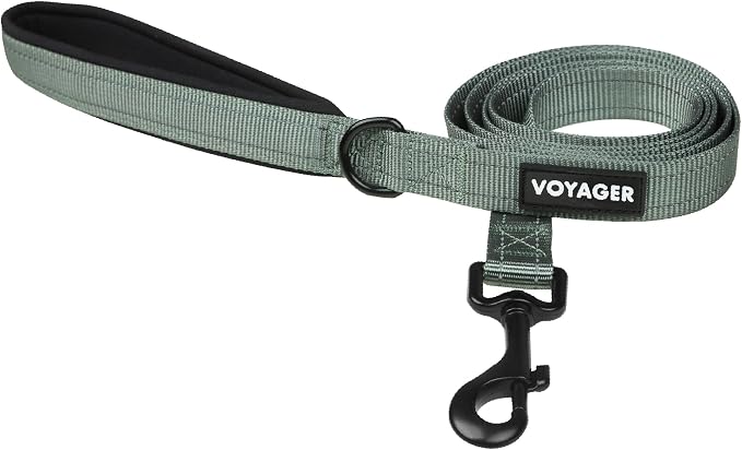 Best Pet Supplies Voyager Nylon Dog Leash - Moss Green, Medium | 5ft in Length, 3/4" in Width, Reflective, Soft Neoprene Handle, Heavy Duty Metal Clips for Running, Walking & Training by BestPetSuppliesLLC