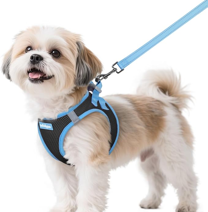 rabbitgoo Dog Harness Small Sized and Leash Set, Step in Soft Vest | Breathable Mesh, Easy Wear with Hook & Loop, Light and Reflective for Walking, Multi-colored, Black & Blue, S by rabbitgoo