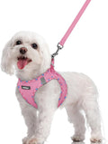 rabbitgoo Dog Harness Small Sized and Leash Set, Step-in Puppy Pet Vest | Light, Soft, Breathable Air Mesh, Easy on and Remove with Hook & Loop, Secure Reflective for Walking, Pink & Plaid Trim M by rabbitgoo