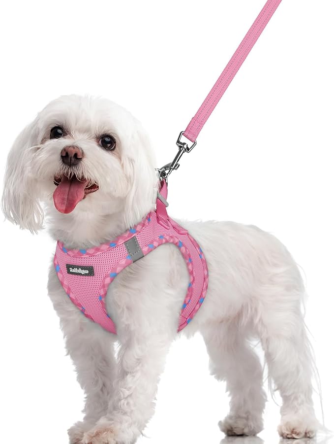 rabbitgoo Dog Harness Small Sized and Leash Set, Step-in Puppy Pet Vest | Light, Soft, Breathable Air Mesh, Easy on and Remove with Hook & Loop, Secure Reflective for Walking, Pink & Plaid Trim M by rabbitgoo