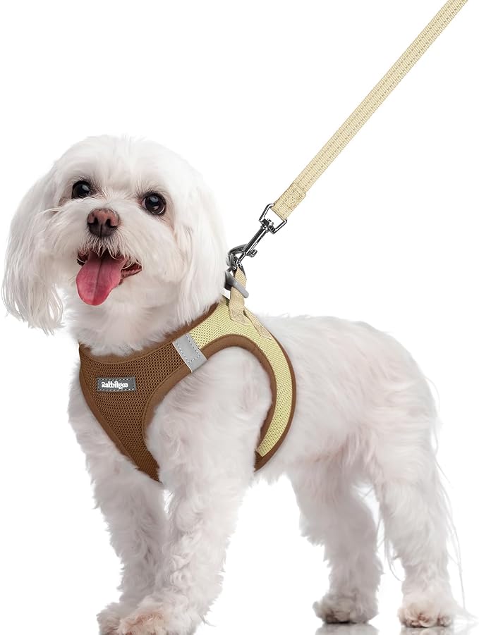 rabbitgoo Dog Harness Small Sized and Leash Set, Step-in Puppy Pet Vest | Light, Soft, Breathable Air Mesh, Easy on and Remove with Hook & Loop, Secure Reflective for Walking, Brown & Beige M by rabbitgoo