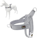 Plutus Pet No Pull Dog Harness for Puppy Small Dogs, Breathable Mesh Padded | Adjustable Reflective with Handle, Escape Proof, Quick Fit Pet Vest, Front Clip, for Training and Walking, Gray, XXS by PLUTUSPET