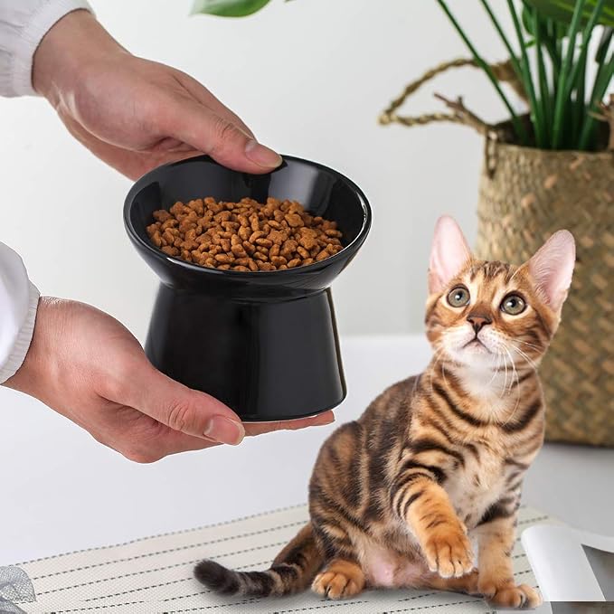Black Small Ceramic Raised Cat Bowls, Tilted Elevated Food or Water Bowls, Stress Free, Backflow Prevention, Dishwasher and Microwave Safe, Lead & Cadmium Free - Image 4