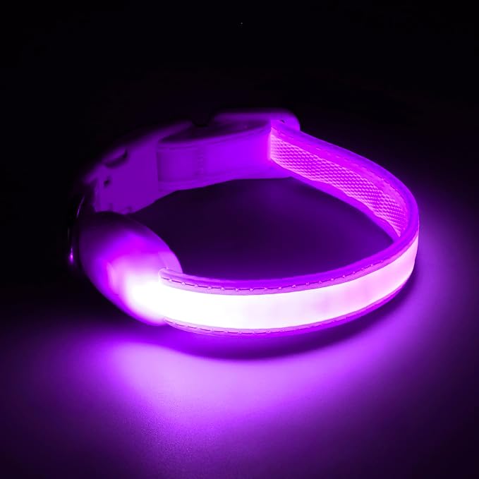 Light up Collar for Small Dog,Vizpet XS Led Adjustable Small Size Collar | USB Rechargeable Bright Safety Pet Nylon Collar for Cats Small Dogs (Purple) - Image 6