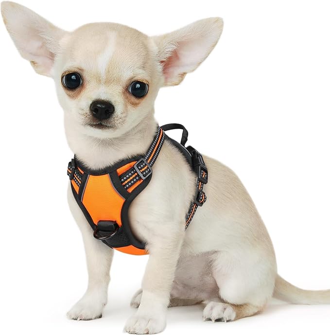 Eagloo Dog Harness for Small Dogs, No Pull Pet Vest with 2 Leash Clips | No Choke with Handle, Adjustable Comfort Fit, Reflective Strips, Easy Walking Control, Orange, X-Small by GoExplorewithEagloo