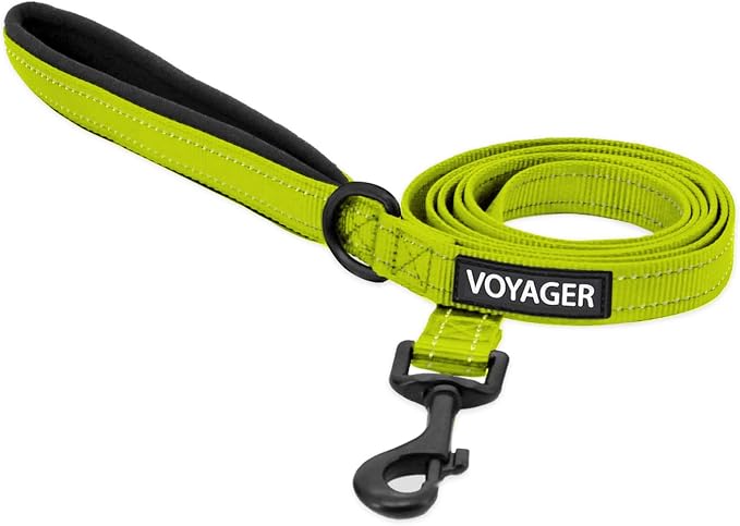 Best Pet Supplies Voyager Nylon Dog Leash - Lime Green, Large | 5ft in Length, 1" in Width, Reflective, Soft Neoprene Handle, Heavy Duty Metal Clips for Running, Walking & Training by BestPetSuppliesLLC