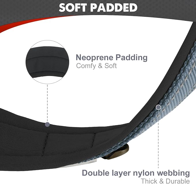 Joytale Reflective Dog Collar for XLarge Dogs with Wide Padding, Gray | Soft Cushion Reduce Neck Strain, Night Safety Walking, Metal Buckle and Adjustable Eyelets, Separated Dog ID Tag Ring - Image 2